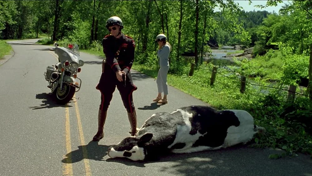 Me, Myself & Irene (2000) — movie still #1